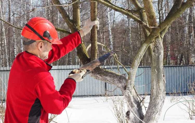 Использование веток для изготовления полезных садовых конструкций