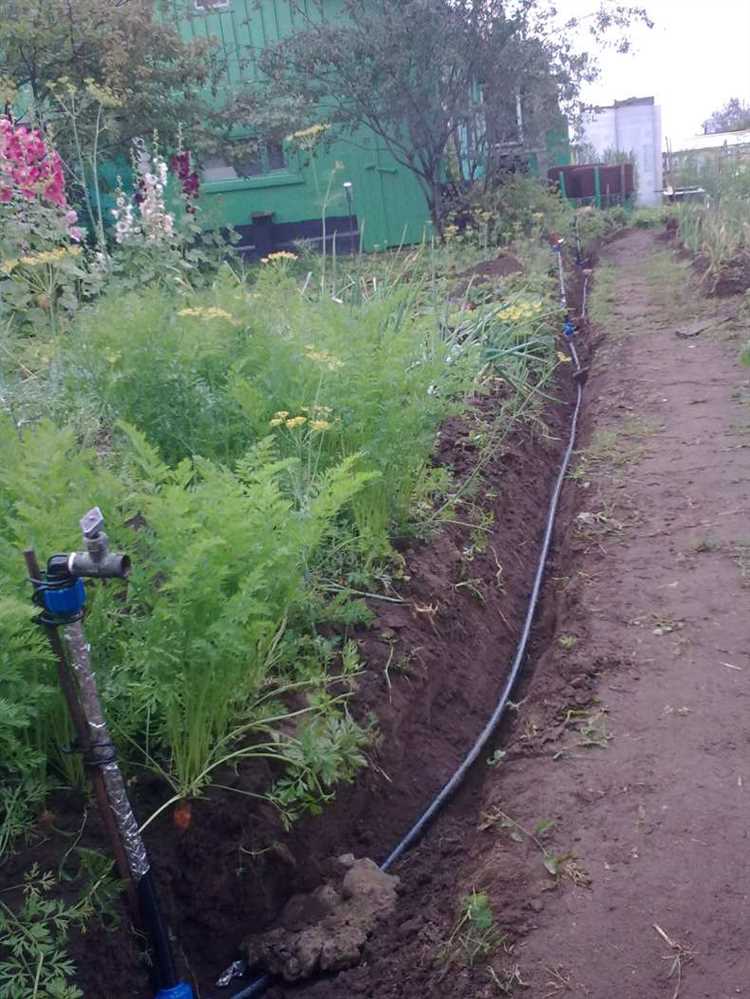 Как выбрать источник воды для летнего водопровода