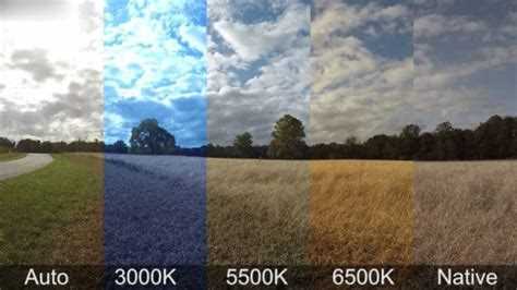 Как выбрать нужное количество люменов для разных помещений