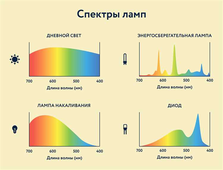 Что такое стартер и как он запускает лампу