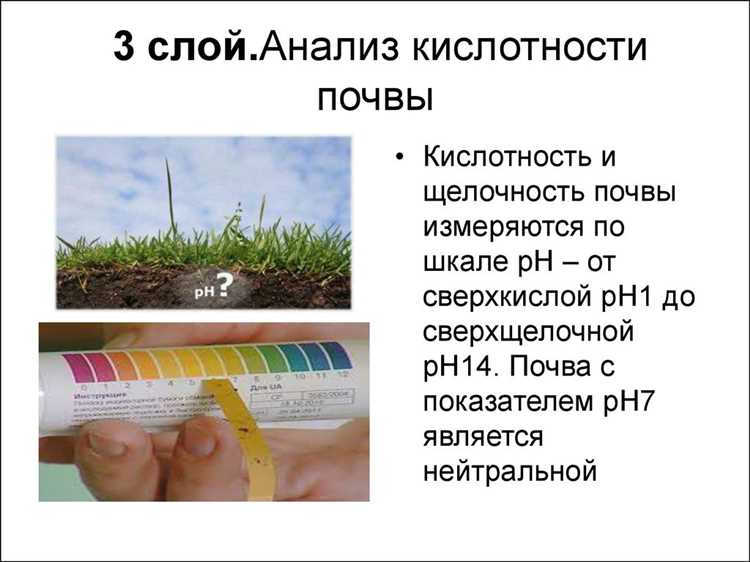 Влияние кислой среды на всхожесть и развитие хвоща