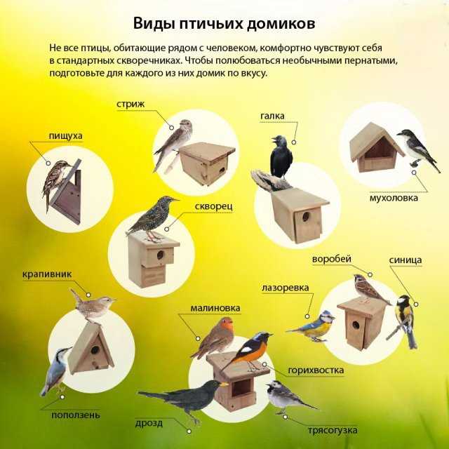 Как высота влияет на безопасность от хищников