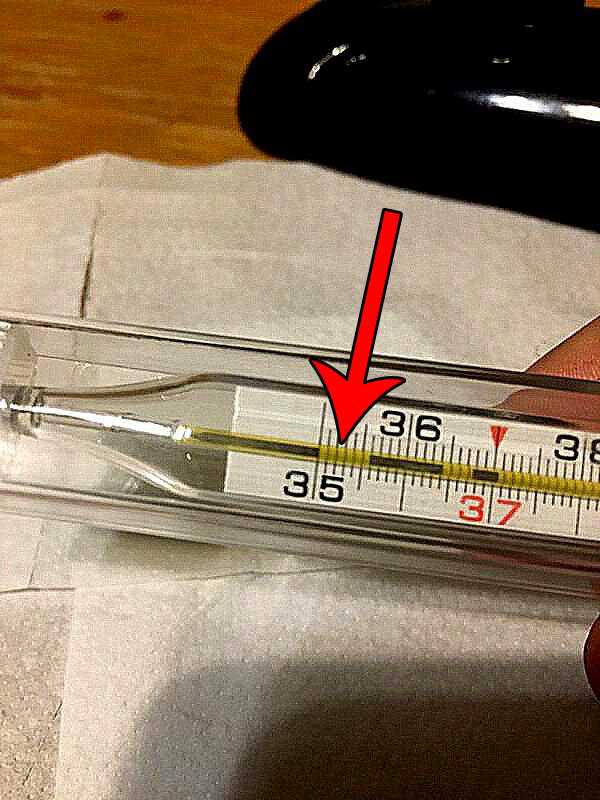 Отличия внутреннего устройства стеклянного и цифрового не ртутного градусника