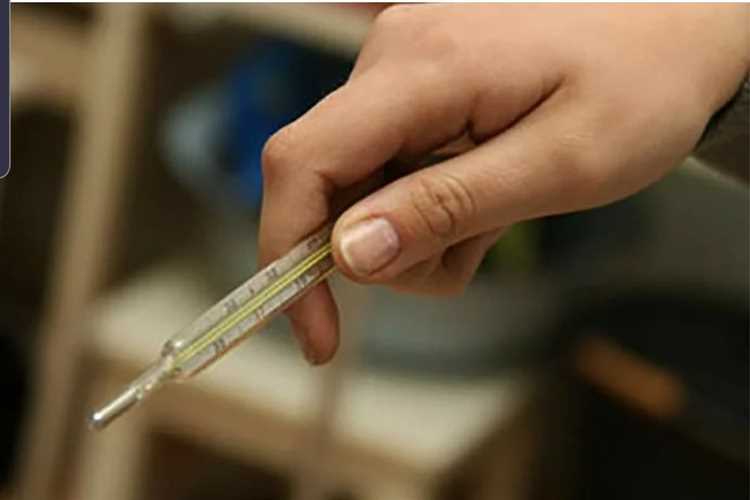 Безопасность и экологичность используемых внутри материалов