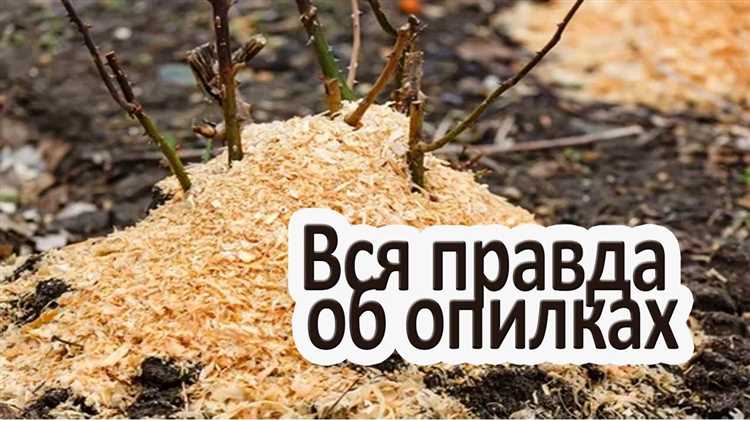 Как сочетать опилки с другими органическими удобрениями