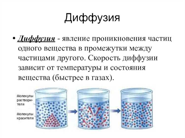 Влияние концентрационного градиента на интенсивность диффузии