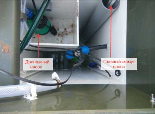 Пена в септике топас причины что делать