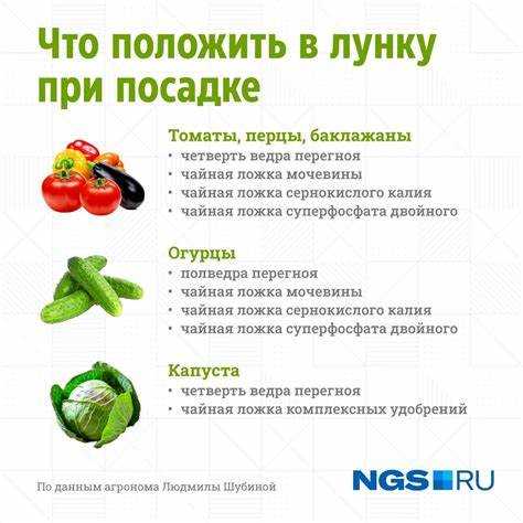 Посадка помидор что класть в лунку