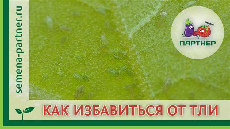 Хранение оставшегося раствора и правила повторного использования