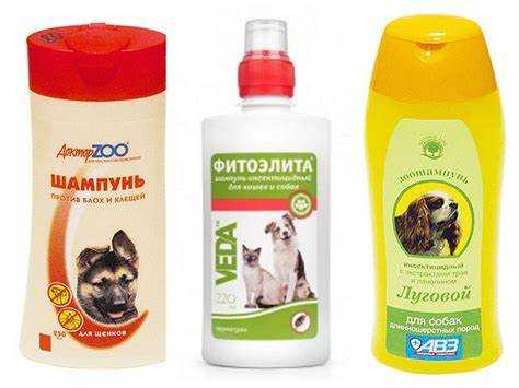 Проверка раствора на небольшом участке растения