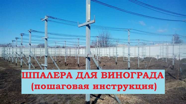 Уход за шпалерой: защита от влаги, коррозии и механических повреждений
