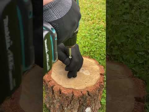 Почему забитый шуруп может быть предпочтителен при временном креплении