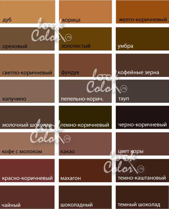 Использование бурого цвета в интерьере: фото с реальных объектов