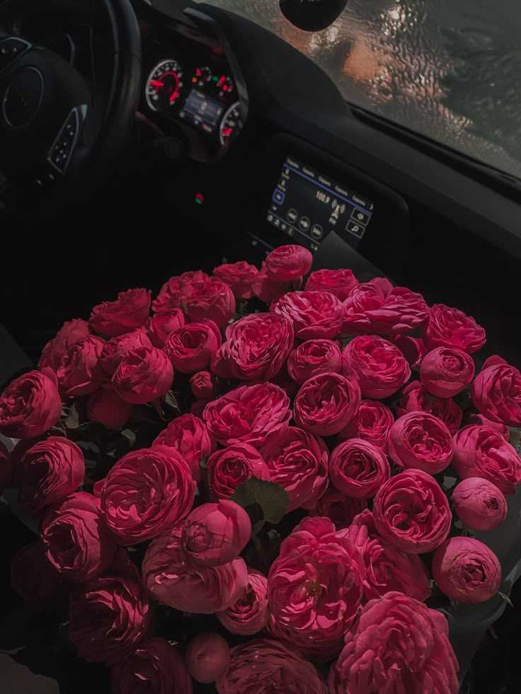 Как ухаживать за цветами в шинах в течение сезона