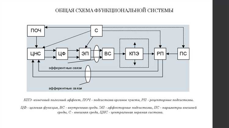 Как использование обеих схем влияет на выбор оборудования и реализацию проекта