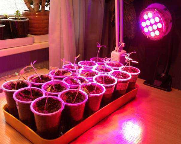 Можно ли использовать светодиодные ленты и как их закрепить