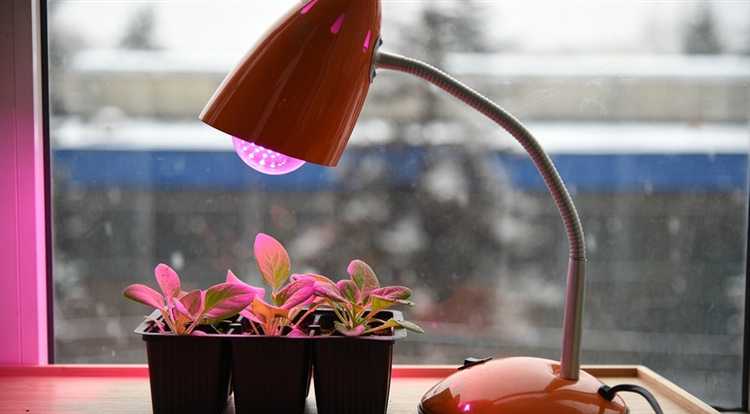 Какие бытовые источники света подходят для подсветки рассады