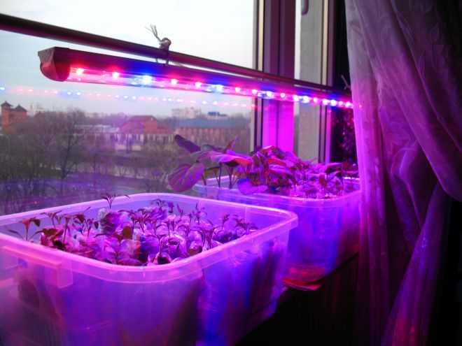 Как установить самодельную систему подсветки на подоконнике