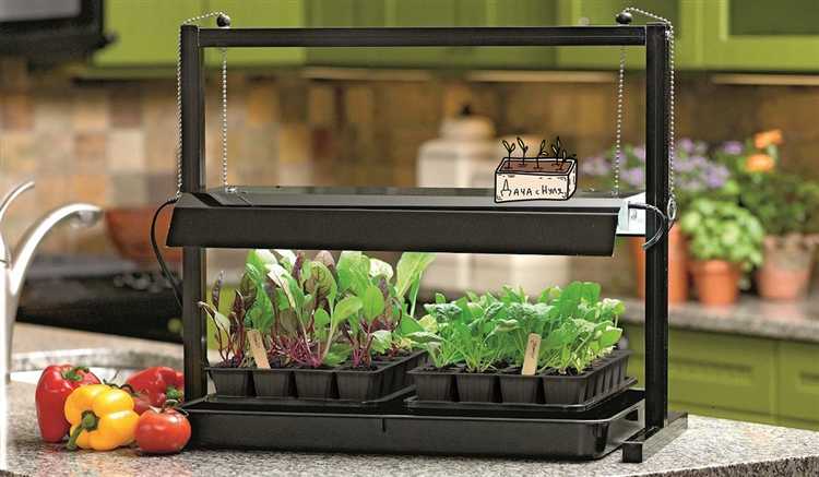 Сколько часов в день нужна подсветка в разные фазы роста