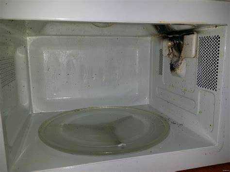 Чем покрасить микроволновку внутри если облупилась эмаль Чем покрасить микроволновку внутри если облупилась эмаль