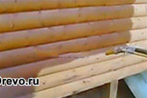 Пропитки от грибка и плесени: когда и какие использовать