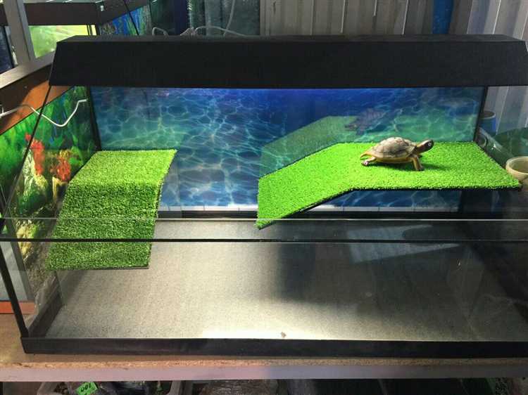 Выбор подходящего клея для водной среды и черепах