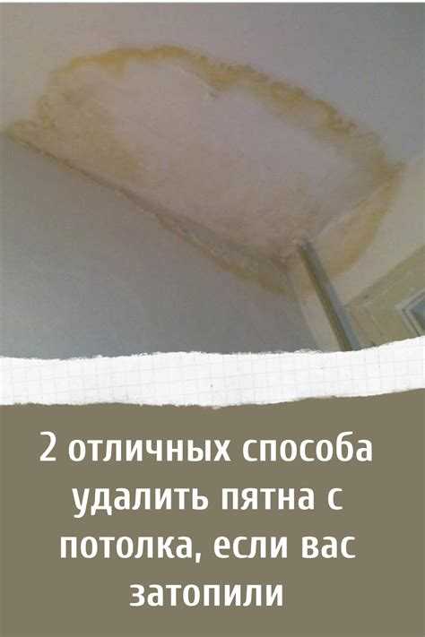 Как определить источник пятен под шпаклевкой