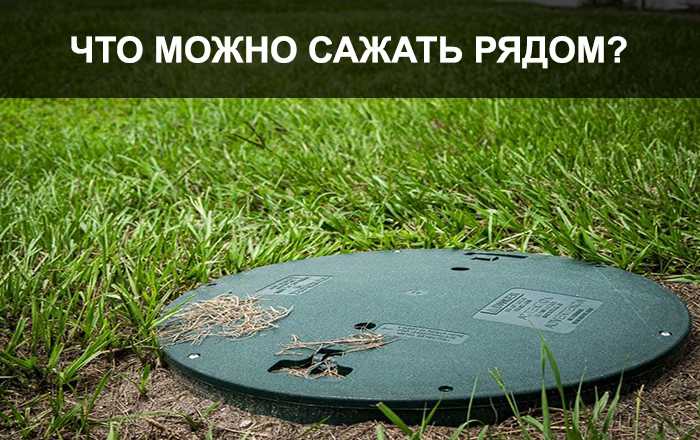 Заливка воды и добавление биопрепаратов для защиты от промерзания