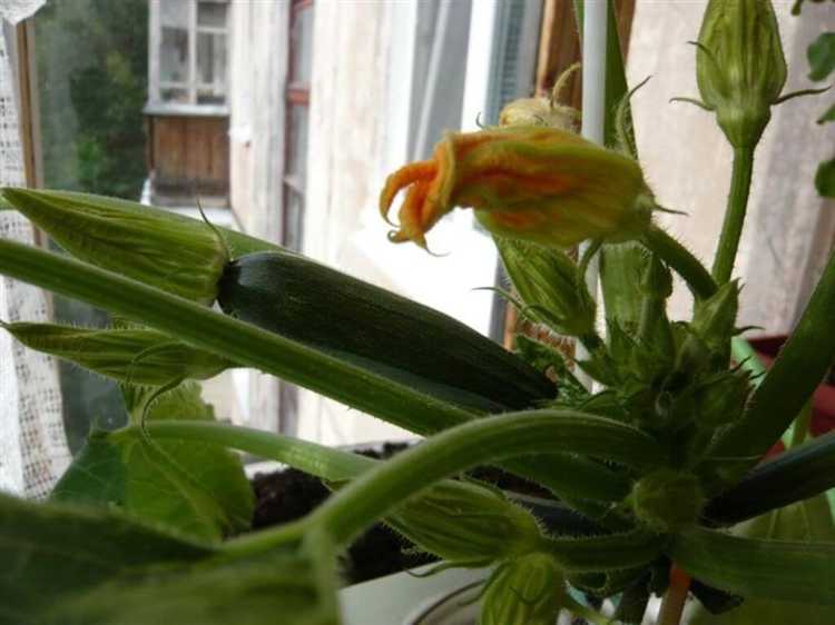 Выбор культур с постоянным спросом на рынке