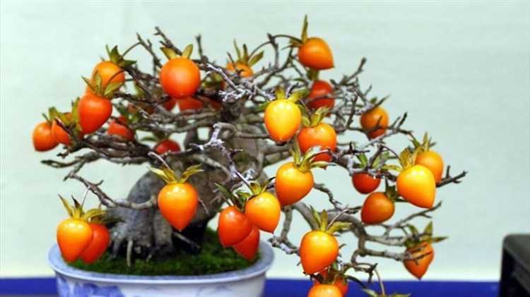 Что можно выращивать дома на продажу круглый год