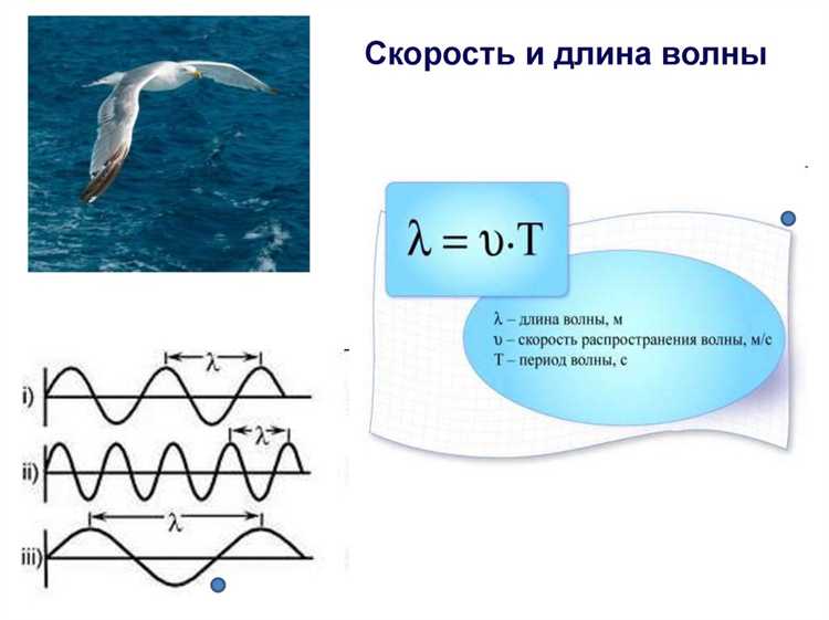 Что такое волна и как она возникает в среде