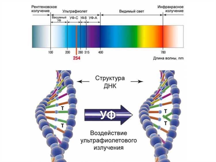 Диапазоны ультрафиолетового спектра в нанометрах