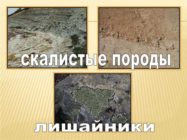 Физические свойства почвы: структура, плотность и пористость