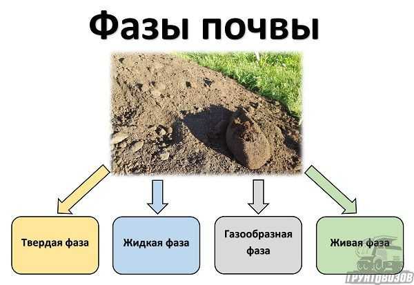 Методы оценки и анализа основных свойств почвы