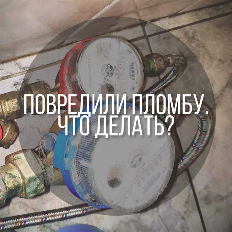 Зачем ставят пломбы на счетчики и кто это обязан делать