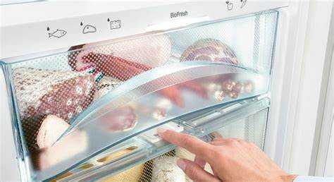 Где находится термостат в холодильнике liebherr