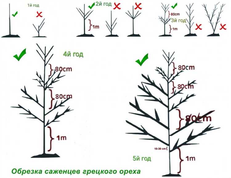 Проверка кислотности и структуры почвы