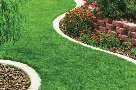 Из чего сделать бордюр для газона Из чего сделать бордюр для газона