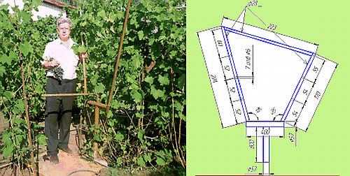 Как натянуть проволоку между столбами для винограда Как натянуть проволоку между столбами для винограда