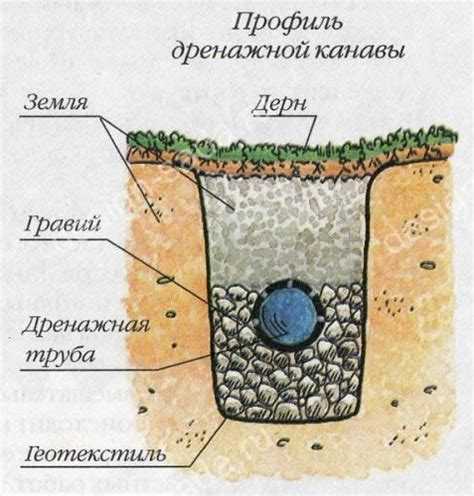 Использование пластиковых бутылок и труб для сбора дождевой воды