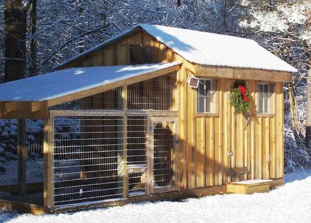 Выбор материалов для теплоизоляции курятника