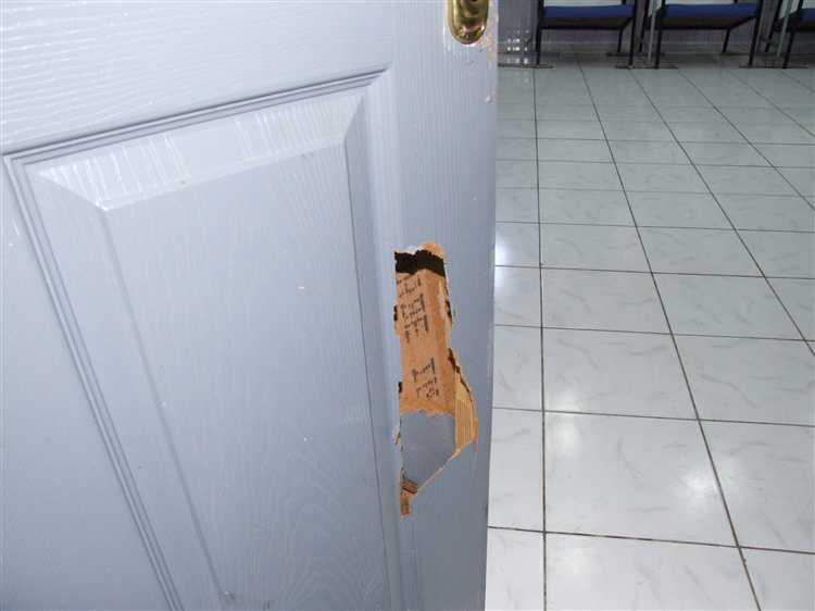 Окрашивание и подбор цвета под структуру двери