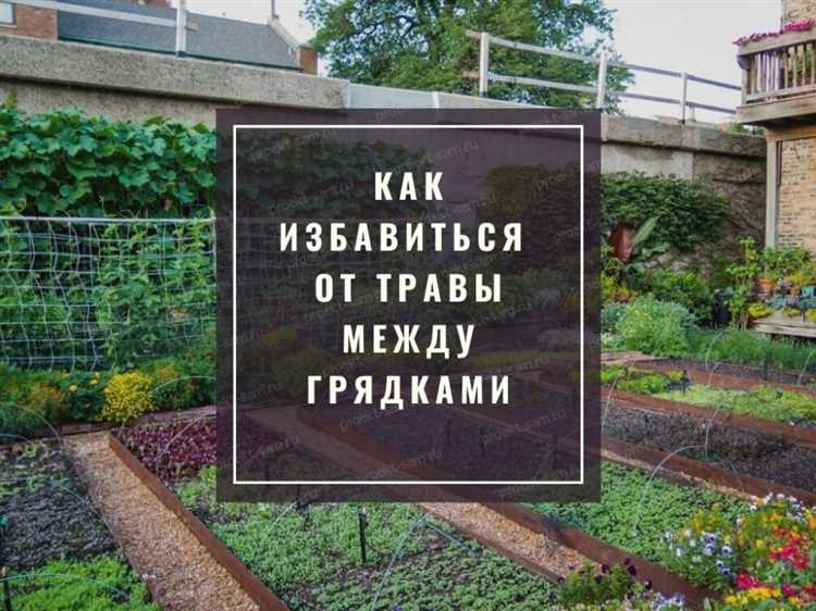Как засыпать щебнем участок чтобы не росла трава