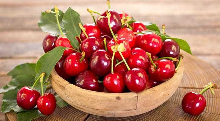 Какую черешню посадить в подмосковье отзывы садоводов