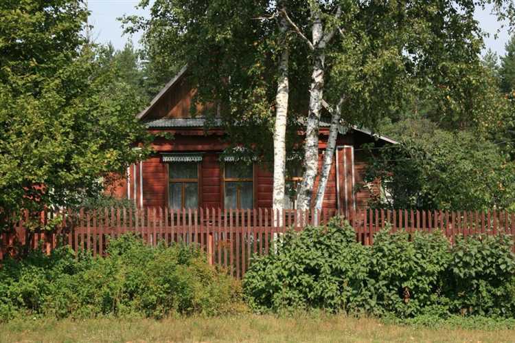 Повышенная влажность почвы из-за испарения листвы