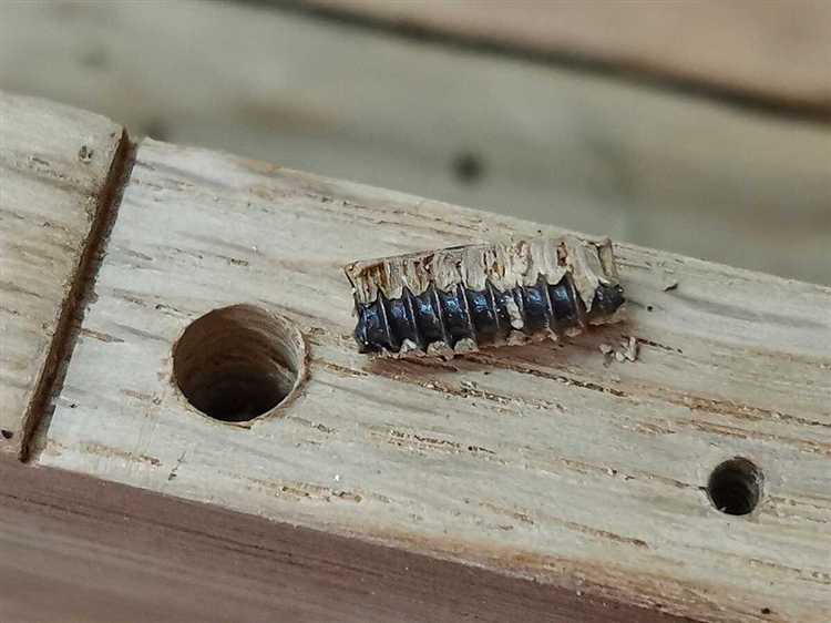 Отсутствие предварительного засверливания в твердых породах дерева