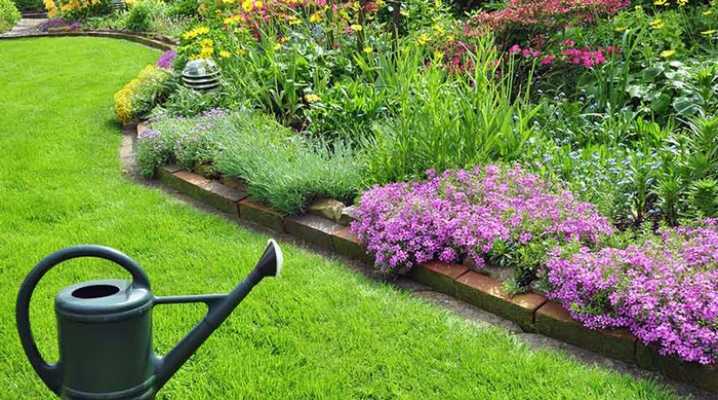 Минимальная температура для прорастания семян газонной травы