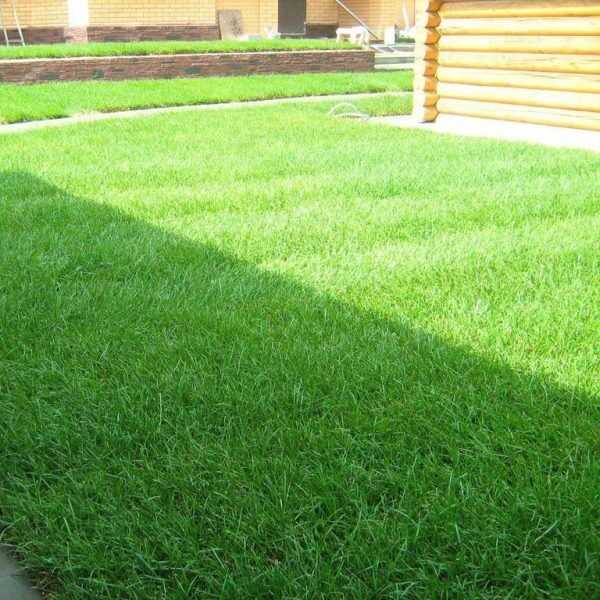 Влияние резких перепадов температуры на всхожесть