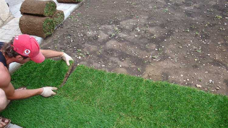 Подходящее время суток для посева при разных температурах