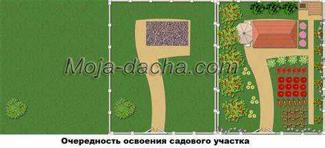 С чего начать на дачном участке после покупки